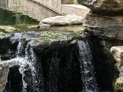 -白水寺森林公园