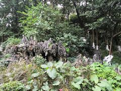 -顺丰轩园林酒家(天河店)