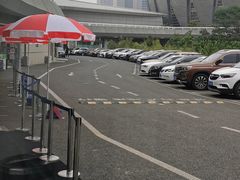 -奥体中心游泳馆
