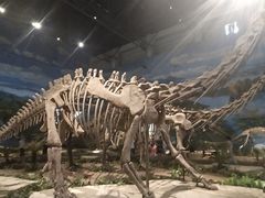 -自贡恐龙博物馆