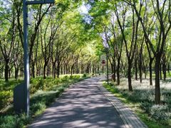 -东郊湿地公园