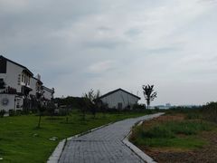 -七的湖·晚芳亭·阳澄湖农家菜·大闸蟹(莲花岛店)