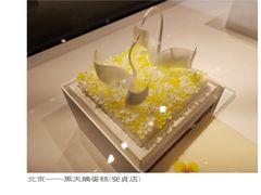 -BLACKSWAN黑天鹅(环球店)