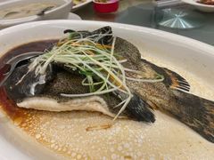 -国惠大酒楼(宝龙店)