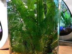 -酷乐潮玩(金桥国际店)