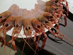 -海天盛宴海鲜自助(正大广场店)
