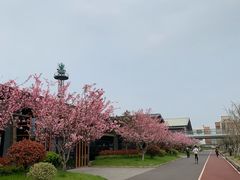 -秦皇岛路游船码头