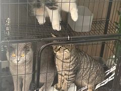 -DGE季风钓虾营地·团建·聚会