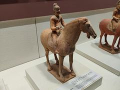 -隋唐大运河文化博物馆