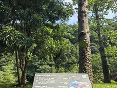 -云溪植物园