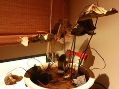 -满镒财税·注册公司·代理记账(徐汇店)