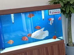 -宁海食府(北岸琴森店)