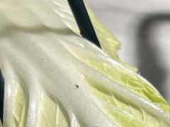 -椰子湾·海南火锅·糟粕醋·椰子鸡(正大广场店)