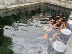 -千滋百味·醉江澜花园餐厅(街道口店)
