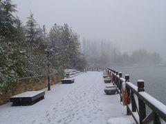 -天鹅湖生态旅游风景区