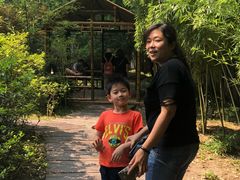 -西湖外事游船(花港观鱼码头)