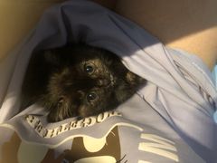 -宠颐生·恒爱宠物医院(静海店)