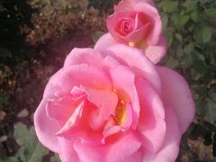 -人民公园(罗湖区)