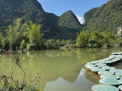 -靖西鹅泉风景区