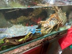 -班赞海鲜市场