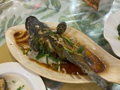 -四姑娘川味海鲜(八爪鱼店)