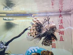 -烟台海昌鲸鲨海洋公园