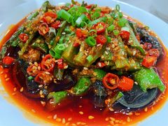 -辣四方新派川菜