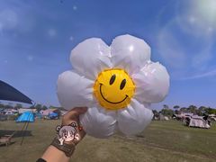 -春花秋色城市公园