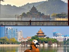 -顺峰山公园