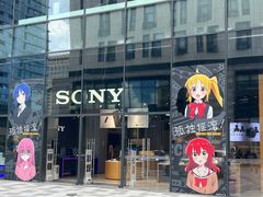 -Sony Store索尼(深圳深业上城店)