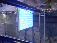 -泰安地下龙宫景区