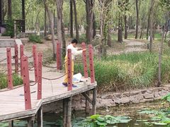 -杨柳青庄园
