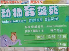 -上海野生动物园