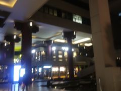 -上海波特曼丽思卡尔顿酒店