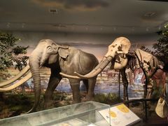 -湖南省地质博物馆