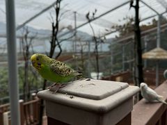 -燕塞湖鸟语林景区