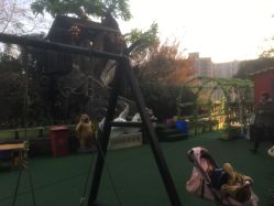 -可可天空农场(中大店)