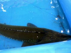 -沈阳国际会展中心管理有限公司