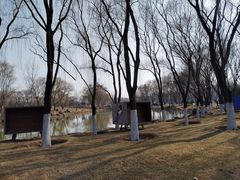 -西安浐灞国家湿地公园