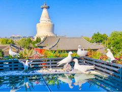 -妙应寺白塔