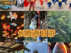 -长鹿旅游休博园