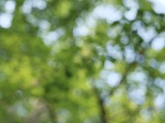 -食膳公园包子铺(烈士公园店)