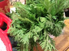 -大龙燚火锅(南山大道店)