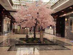 -添赐温泉馆(上南路店)
