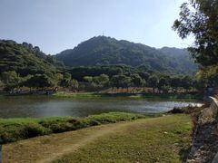 -风云岭森林公园