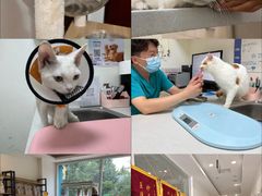 -美联众合24小时·皮肤科·外科·全科诊疗中心(华苑分院)