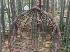 -缙云山景区