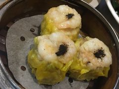 -糖朝(尖沙咀店)