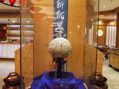 -新凯里酸汤鱼(飞山街店)