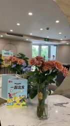 -酉嘉瑜伽YO+YOGA